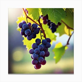 Grapes On The Vine 31 Canvas Print