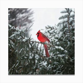 Firefly Beautiful, Winter, Day, Cardinal, Bird, Snowing, Snowy, Serene, Peaceful, Nature, Vibrant, R (1) Canvas Print