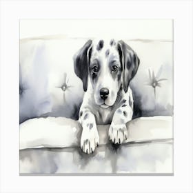 Dalmatian Dog Canvas Print