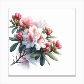 Flowers of Rhododendron 2 Canvas Print