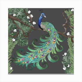 Proud Peacock Square Canvas Print