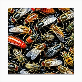 Flies On Black Background 1 Canvas Print