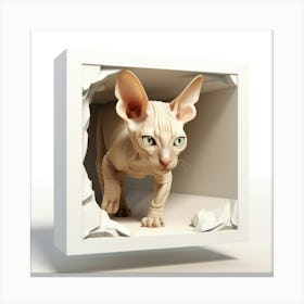 Sphynx Cat 4 Canvas Print