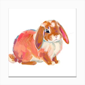 Holland Lop Rabbit 02 1 Canvas Print