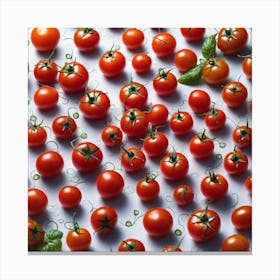 Ripe Tomatoes 2 Canvas Print