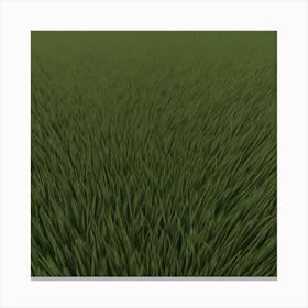 Grass Field 10 Canvas Print