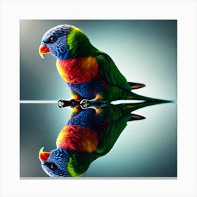 Lorikeet 2 Canvas Print