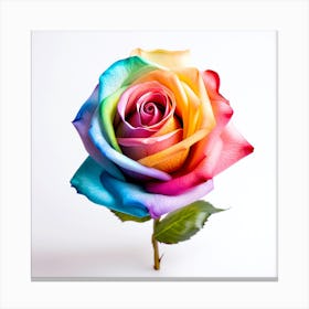 Rainbow Rose Canvas Print