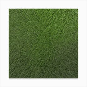 Grass Background 39 Canvas Print