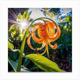 Lily Of The Valley 23 Canvas Print