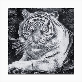 Tiger Canvas Print