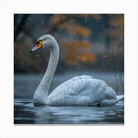Swan In The Snow 1 Canvas Print
