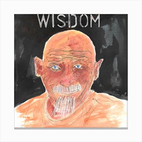 Wisdom Canvas Print