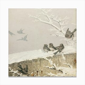 Birds On A Wall Canvas Print