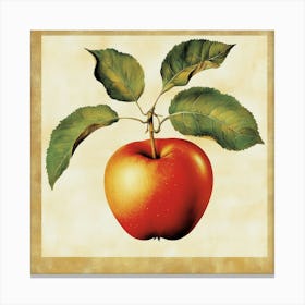 Apple On A Branch Art Canvas Print