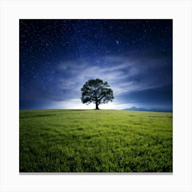 Firefly 8k, Top Quality, Live Action, Center, Night Sky, Darkness, Meadow, Plateau, Single Tree, Sea (1) Canvas Print