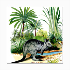  australian Nature  Canvas Print