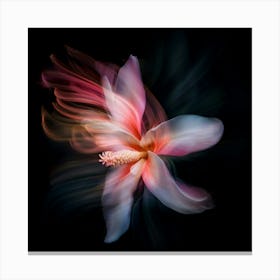 Hibiscus Flower 1 Canvas Print