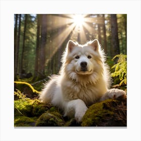 Samoyed Dog In The Forest Canvas Print