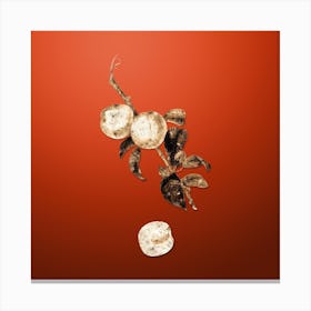 Gold Botanical White Walnut on Tomato Red n.4670 Canvas Print