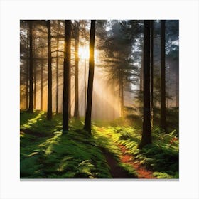 Sunrise In The Forest 37 Canvas Print