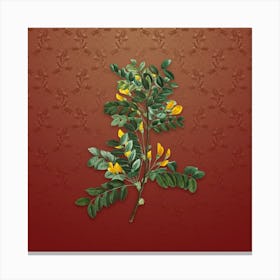 Vintage Siberian Pea Tree Botanical on Falu Red Pattern n.0418 Canvas Print