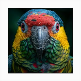 Colorful Parrot 27 Canvas Print