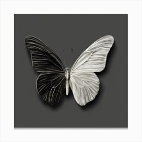 Butterfly In Black And White Canvas Print