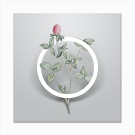 Vintage Pink Clover Minimalist Botanical Geometric Circle on Soft Gray n.0266 Canvas Print