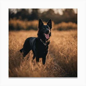 Black German Shepherd Standing In A Field Canvas Print