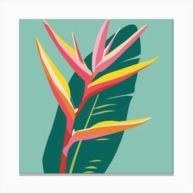 Heliconia 1 Square Flower Illustration Canvas Print