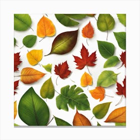 Autumn Leaves 5 Canvas Print