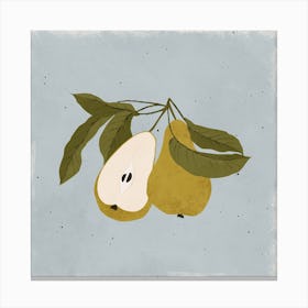 Pair Of Pears Square Canvas Print