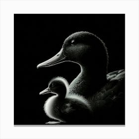 Duck And Duckling Canvas Print