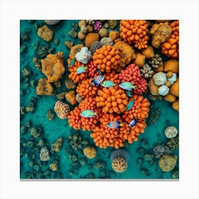 Coral Reef45 Canvas Print