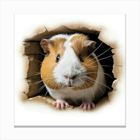 Guinea Pig 21 Canvas Print