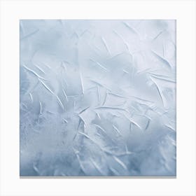 Frosty Window Canvas Print