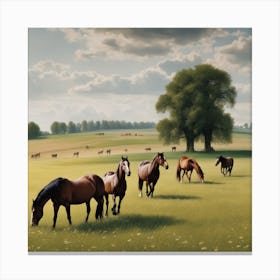 Horses In The Field Canvas Print