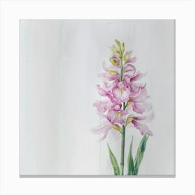 Orchids Canvas Print