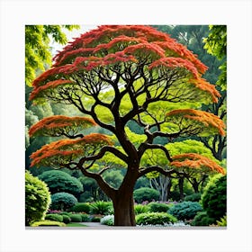 Japanese Tree Canvas Print