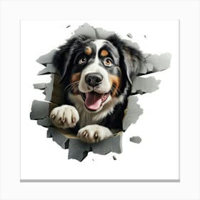 Bernese Dog 1 Canvas Print