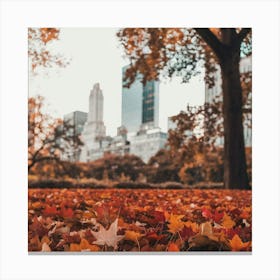 Autumn Leaves In New York City Canvas Print