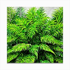 Fern Painting 1 Canvas Print