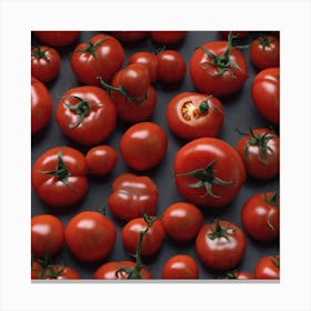 Ripe Tomatoes 16 Canvas Print