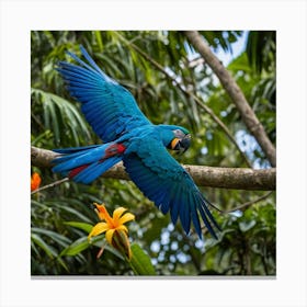 Blue Arara in Amazon Canvas Print