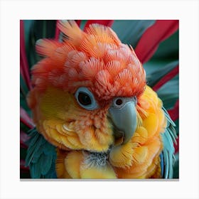 Colorful Parrot 34 Canvas Print