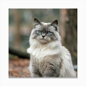 Cat Sitting In The Woods Canvas Print