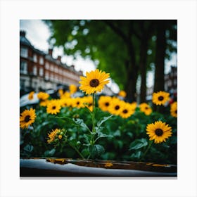 Flowers In London Photography (11) Canvas Print
