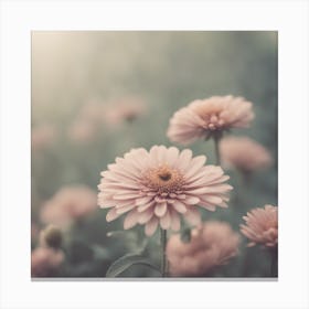 Pink Daisies Canvas Print