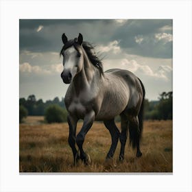 Horse In The Field Lienzo